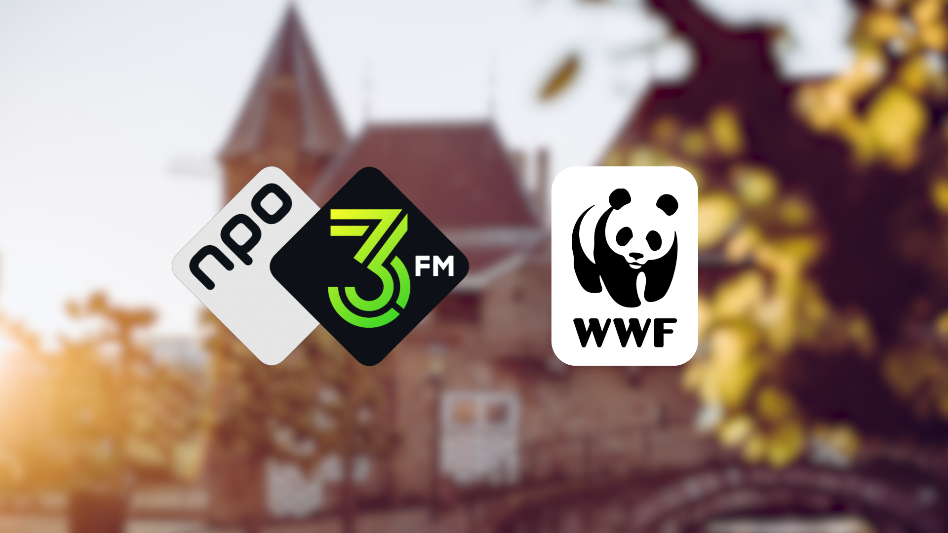 Wereld Natuur Fonds nieuwe partner 3FM Serious Request Spreekbuis.nl Wereld Natuur Fonds nieuwe partner 3FM Serious Request Spreekbuis.nl