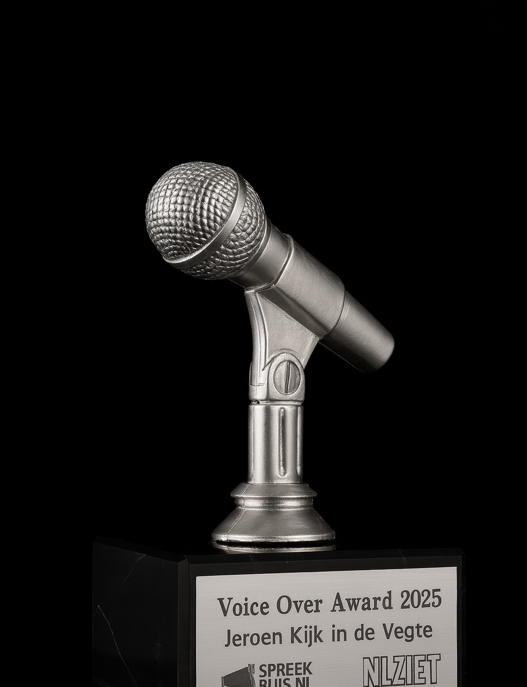 Voice Over Award 2025